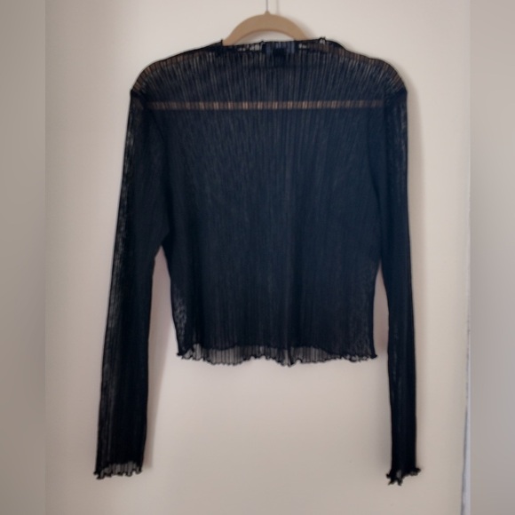 Sheer Pleated Boat Neck Top – Plus Size 0X, Elegant Long Sleeve Blouse - Picture 7 of 10